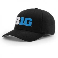 American, Big12, Big East, C-USA, Big10, ACC, Big South, Sun Belt, OVC, A Sun Richardson College Baseball Logo Umpire Hats