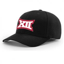 American, Big12, Big East, C-USA, Big10, ACC, Big South, Sun Belt, OVC, A Sun Richardson College Baseball Logo Umpire Hats