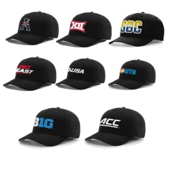 American, Big12, Big East, C-USA, Big10, ACC, Big South, Sun Belt, OVC, A Sun Richardson College Baseball Logo Umpire Hats