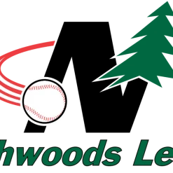 Richardson Sports Northwoods League Richardson Black Performance Umpire Hats